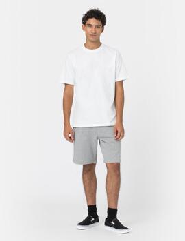 DICKIES SHORT MAPLETON GRIS