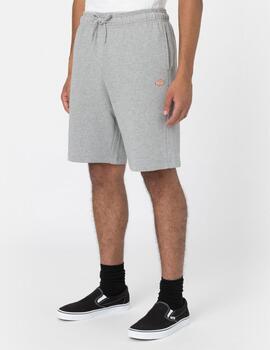 DICKIES SHORT MAPLETON GRIS