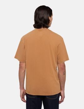 DICKIES CAMISETA PLENTYWOOD MARRON