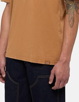 DICKIES CAMISETA PLENTYWOOD MARRON