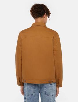 DICKIES CAZADORA MARRON DUCK CANVAS