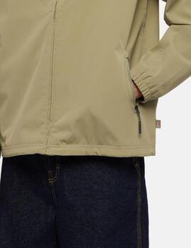 DICKIES CAZADORA VERDE RONAN SHELL