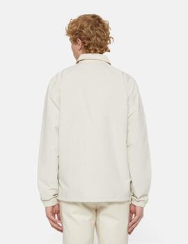 DICKIES CHAQUETA COACH BEIGE