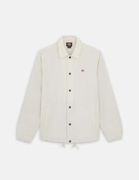 DICKIES CHAQUETA COACH BEIGE