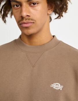 DICKIES SUDADERA MARRON SUMMERDALE