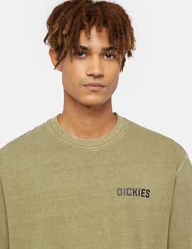 DICKIES CAMISETA VERDE HIGH FLYING