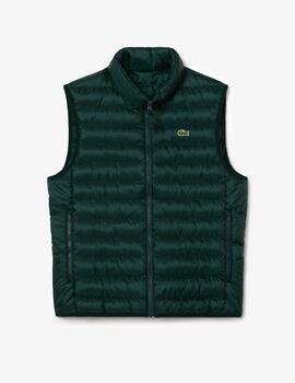 LACOSTE CHALECO VERDE