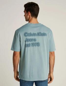 CALVIN KLEIN CAMISETA WASHED PUFF LEAD