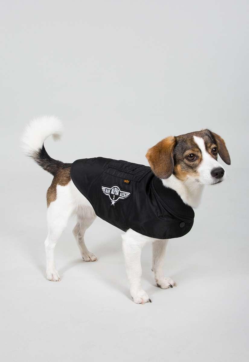 Dog Ma 1 nylon fligth jacket Black  Alpha