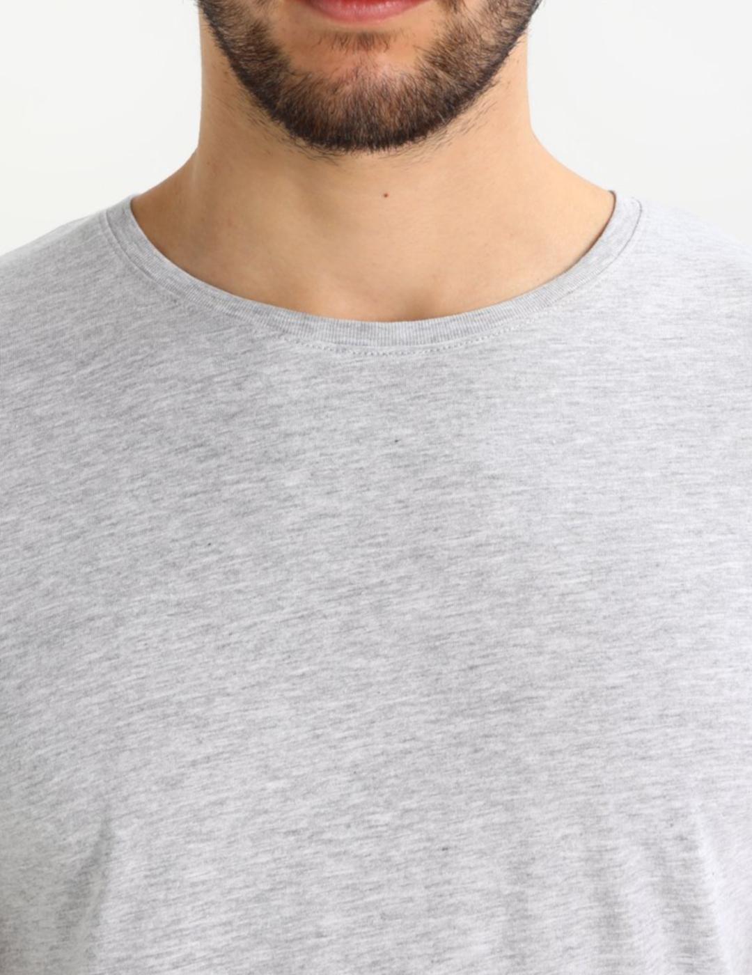 TSHIRT BASIL GRIS TIFFOSI