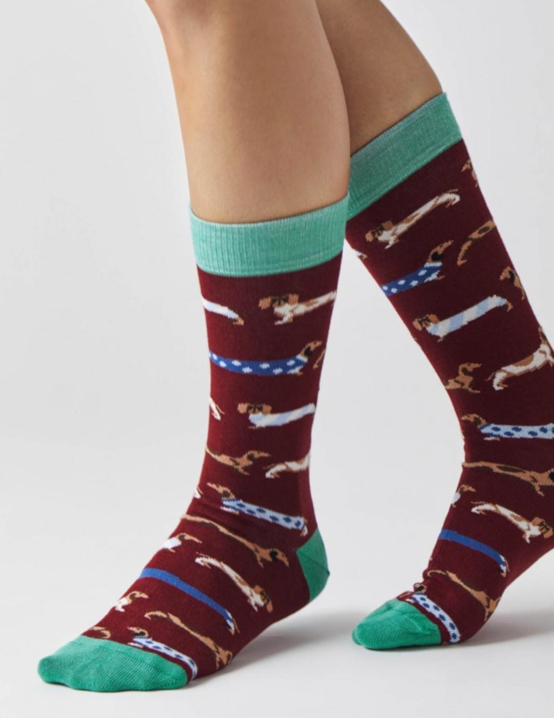 BESOCKS BEPETS BURGUNDY