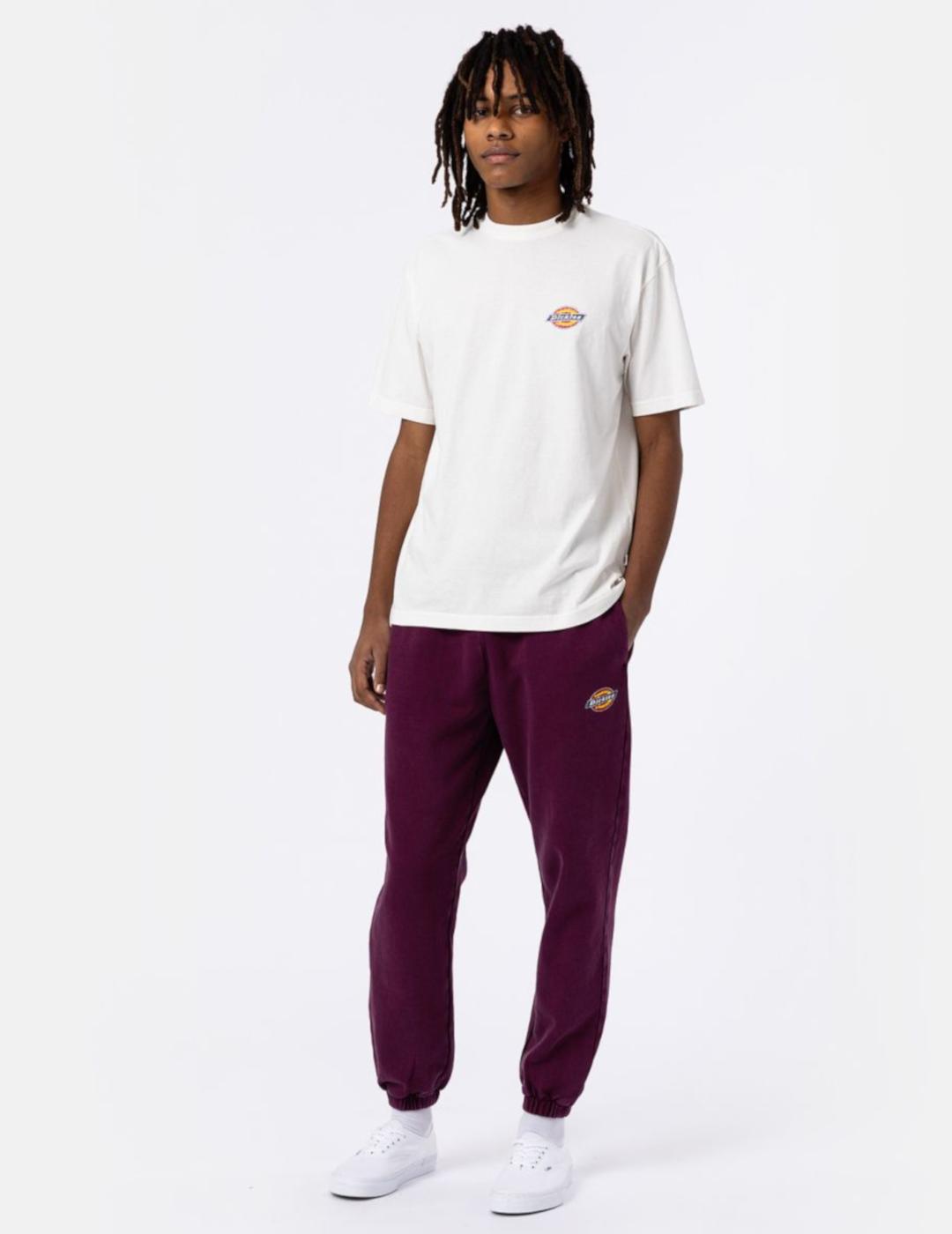 DICKIES ICON WASHED CAMISETA ECRU