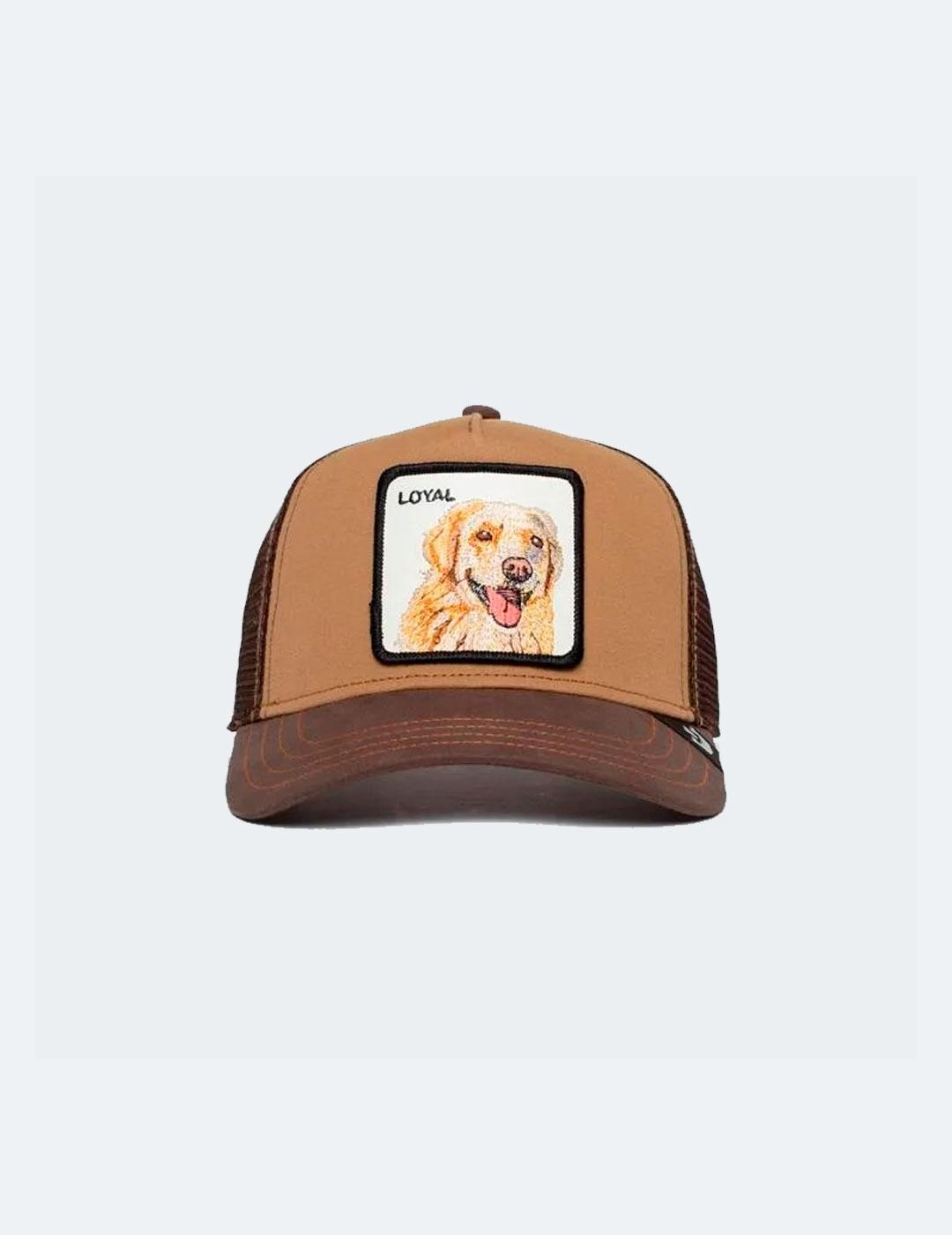 GOORIN GORRA THE LOYAL DOG BROWN