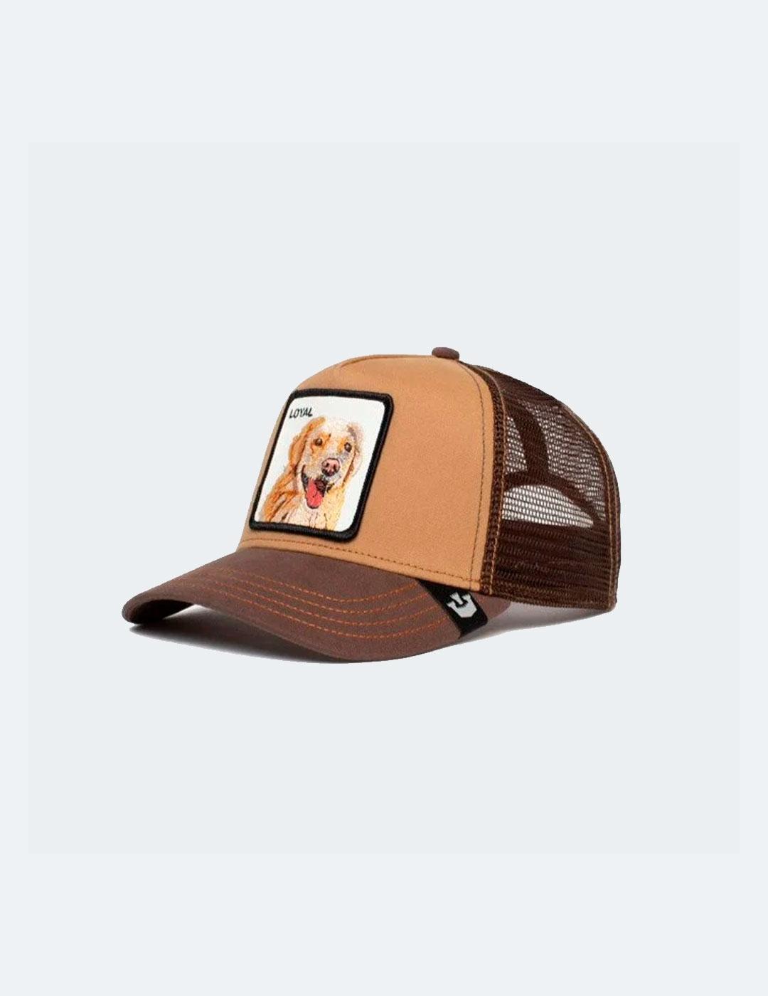 GOORIN GORRA THE LOYAL DOG BROWN