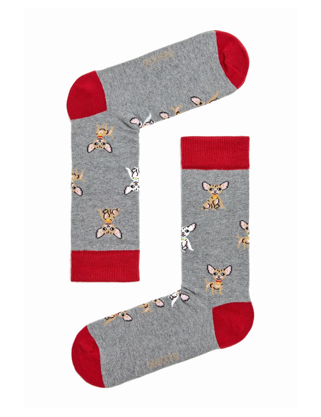 BESOCKS CALCETINES BECHIHUAHUA GREY