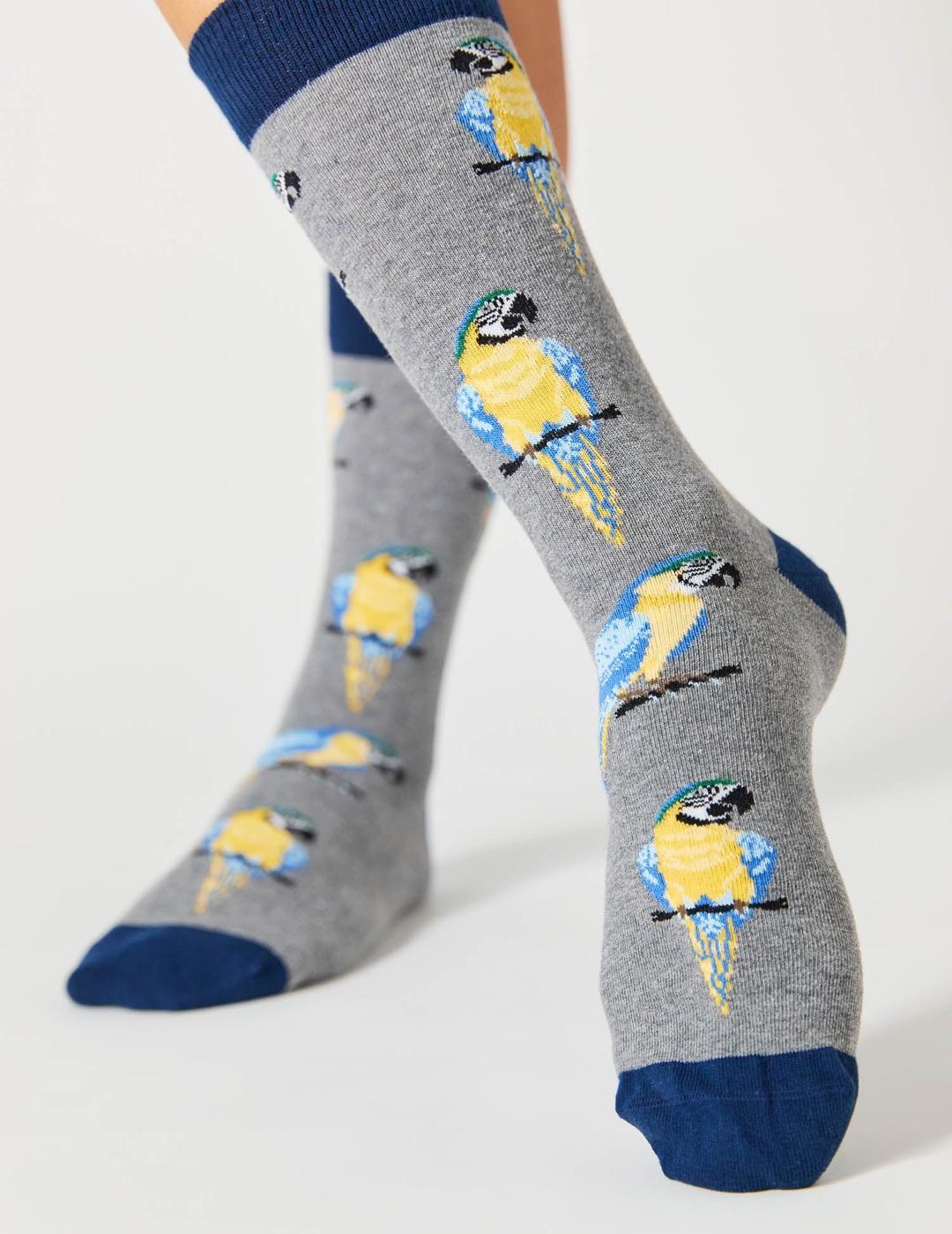 BESOCKS CALCETINES BEPARROT GREY