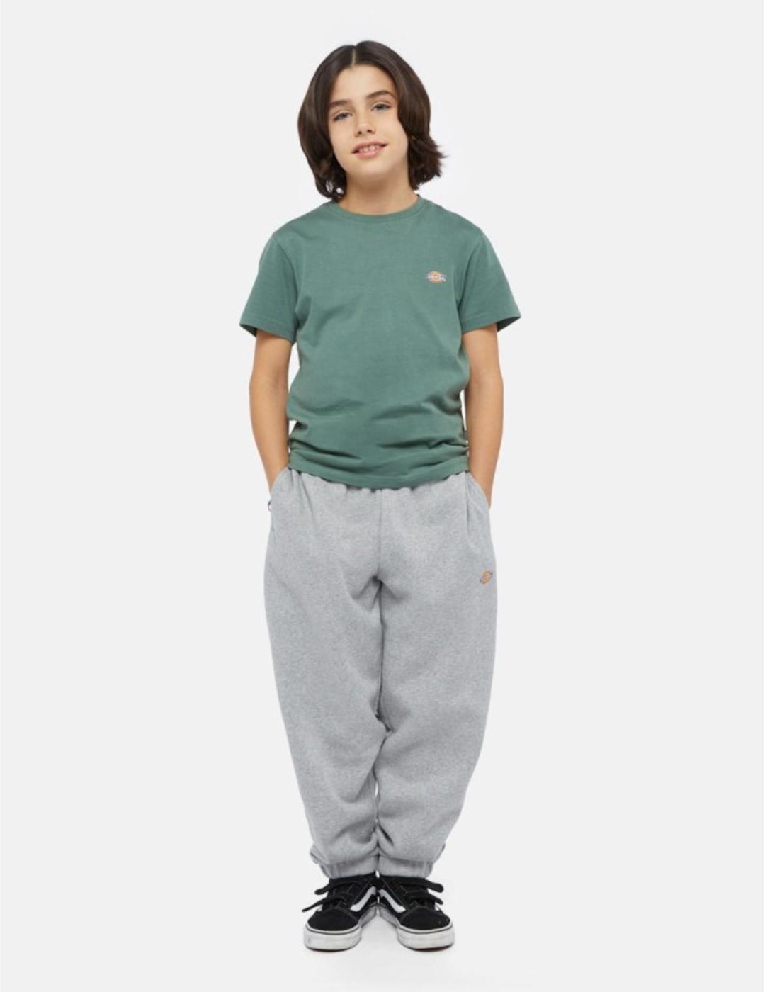 DICKIES PANTSPORT GRIS MAPLETON KIDS