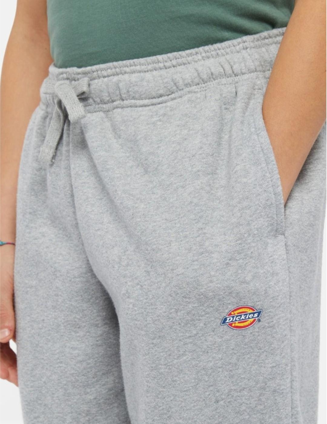 DICKIES PANTSPORT GRIS MAPLETON KIDS