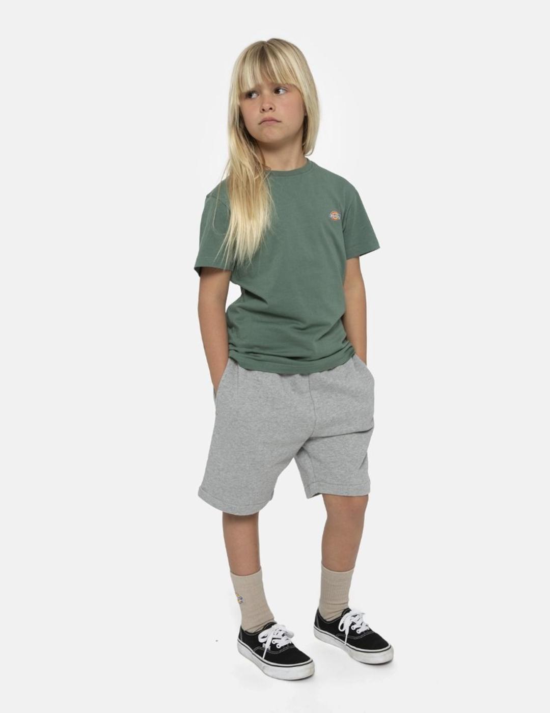 DICKIES SHORTS KIDS GRIS MAPLETON