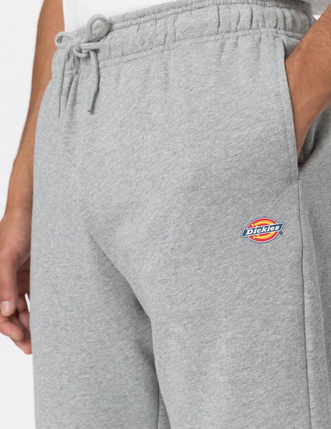 DICKIES SHORT MAPLETON GRIS