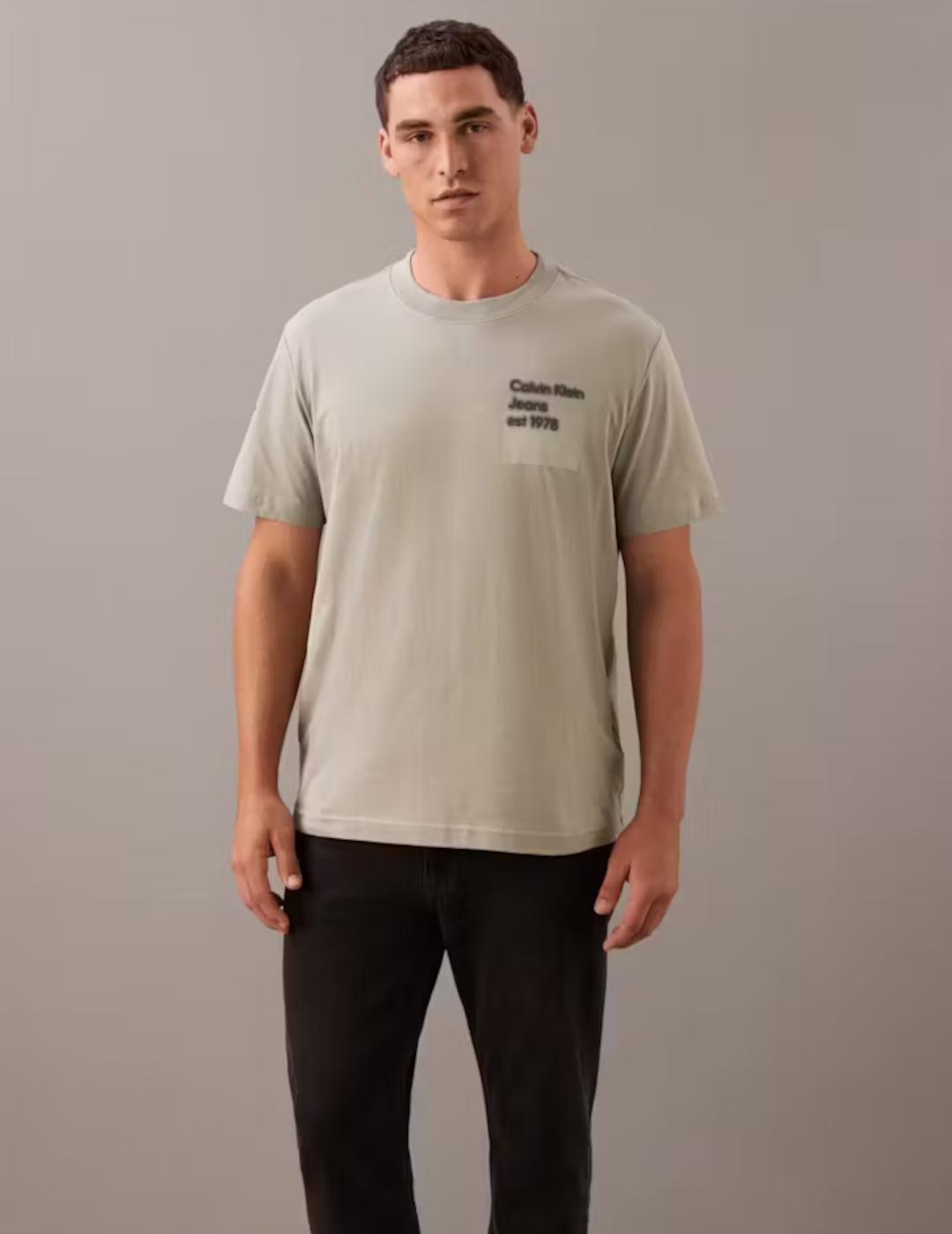 CALVIN KLEIN CAMISETA ROCK RIDGE FADE BOX