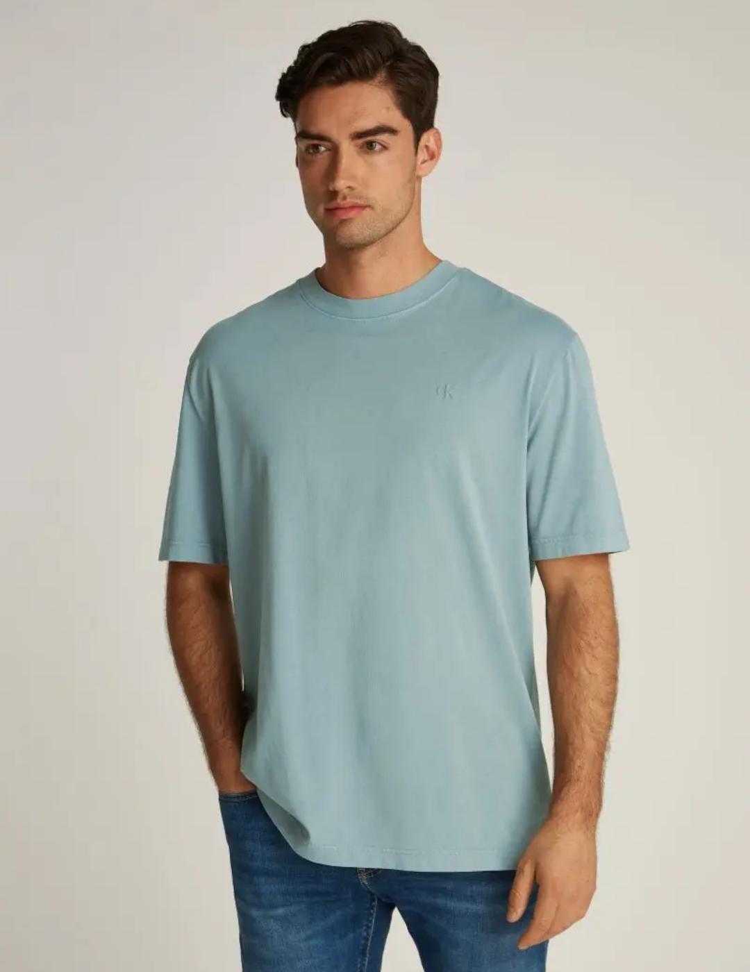 CALVIN KLEIN CAMISETA WASHED PUFF LEAD
