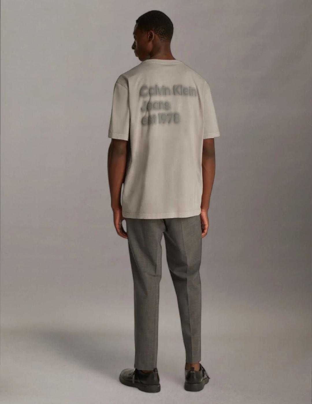 CALVIN KLEIN CAMISETA ROCK RIDGE WASHED PUFF