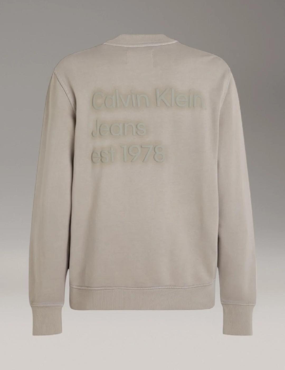 CALVIN KLEIN SUDADERA ROCK RIDGE PUFF PRINT