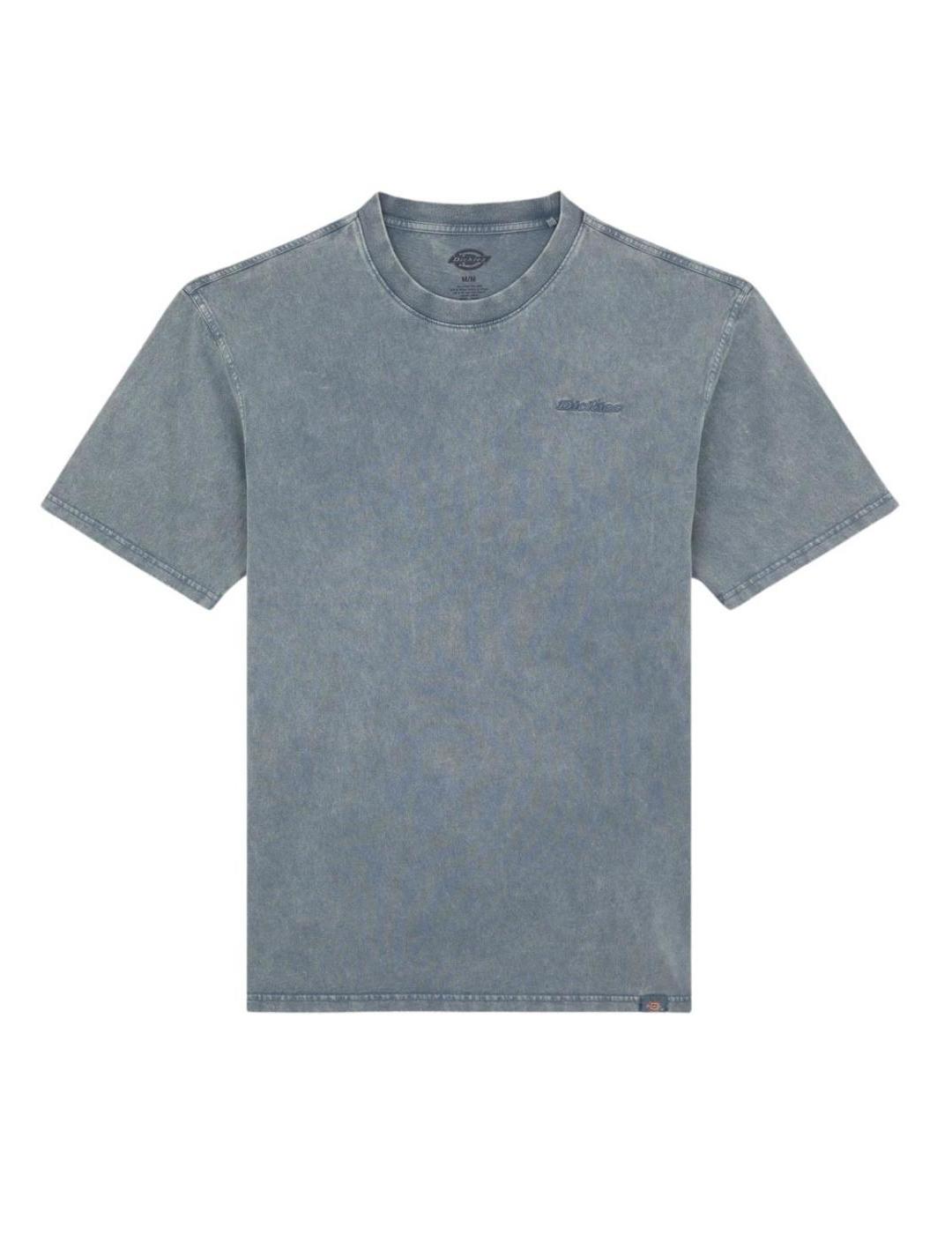 DICKIES CAMISETA PLENTYWOOD STORMY WEATHER