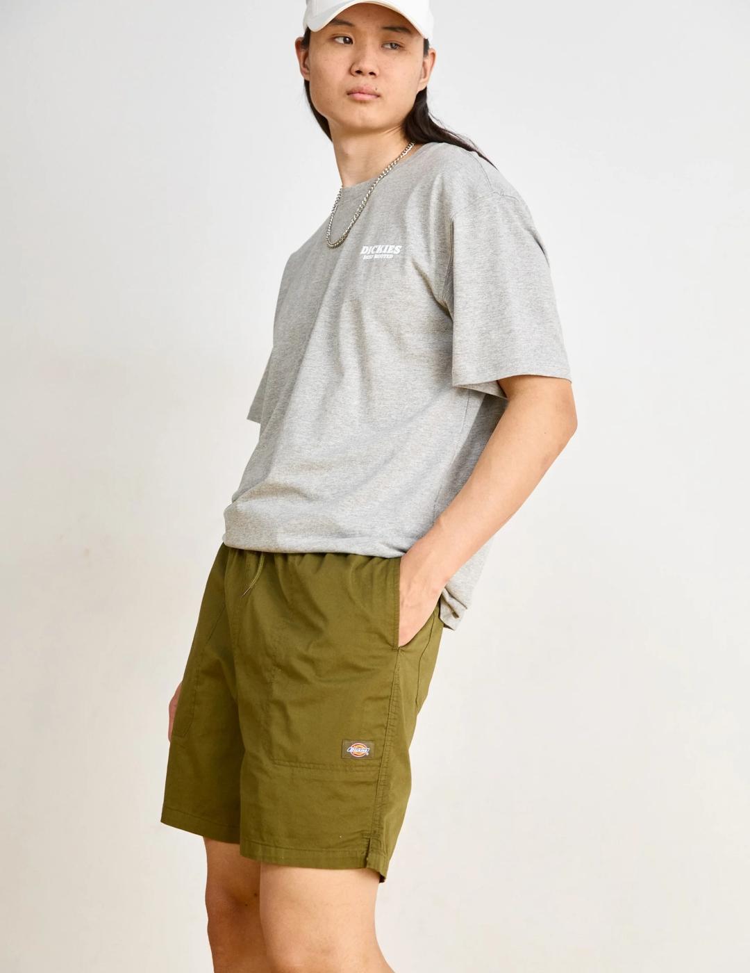 DICKIES SHORT PELICAN OLIVE DARK