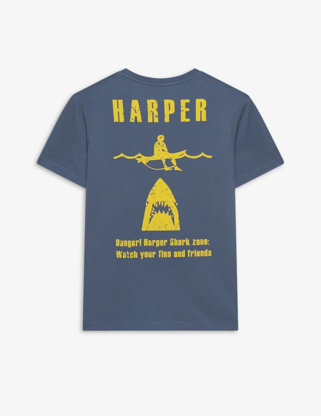 HARPER CAMISETA AZUL LAVADO DANGER