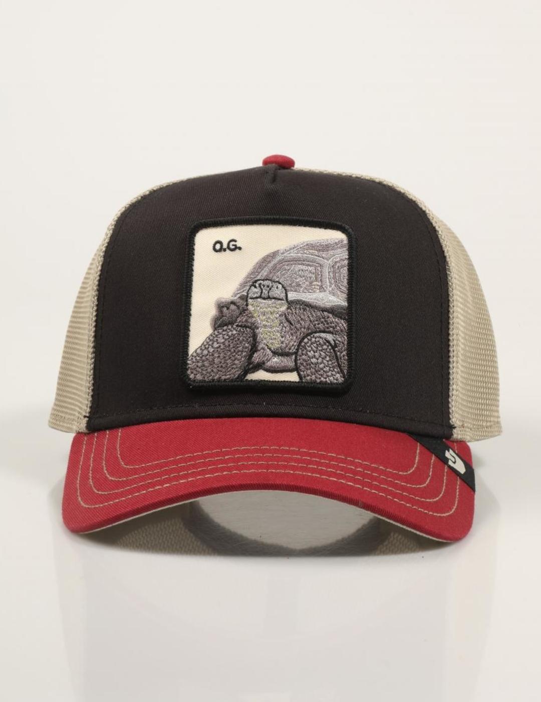 GOORIN GORRA TRICOLOR TORTOISE