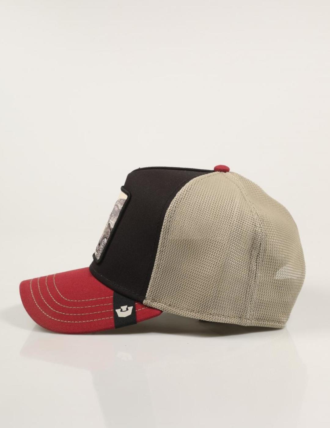 GOORIN GORRA TRICOLOR TORTOISE