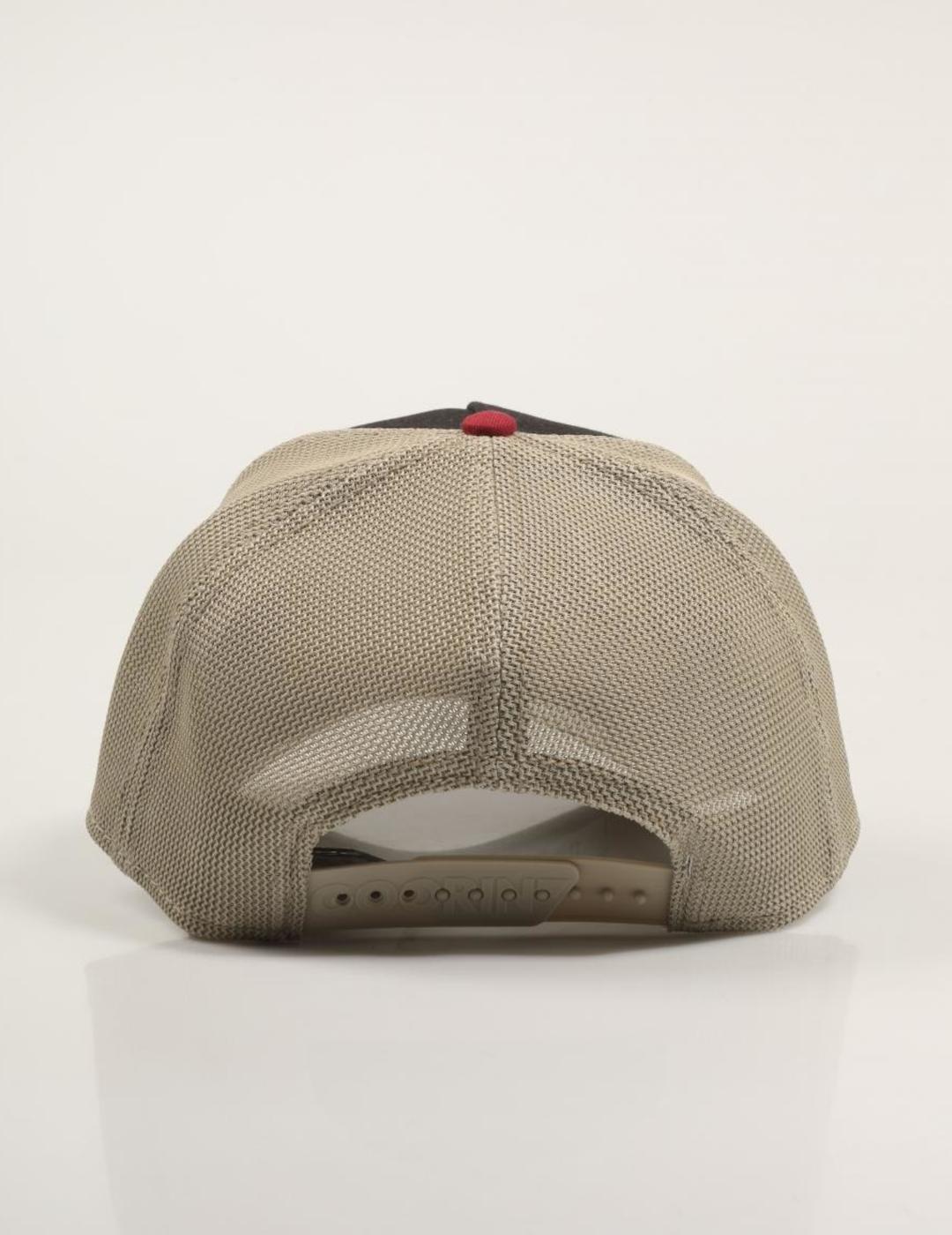 GOORIN GORRA TRICOLOR TORTOISE