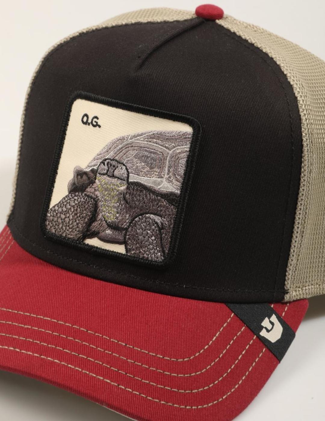 GOORIN GORRA TRICOLOR TORTOISE