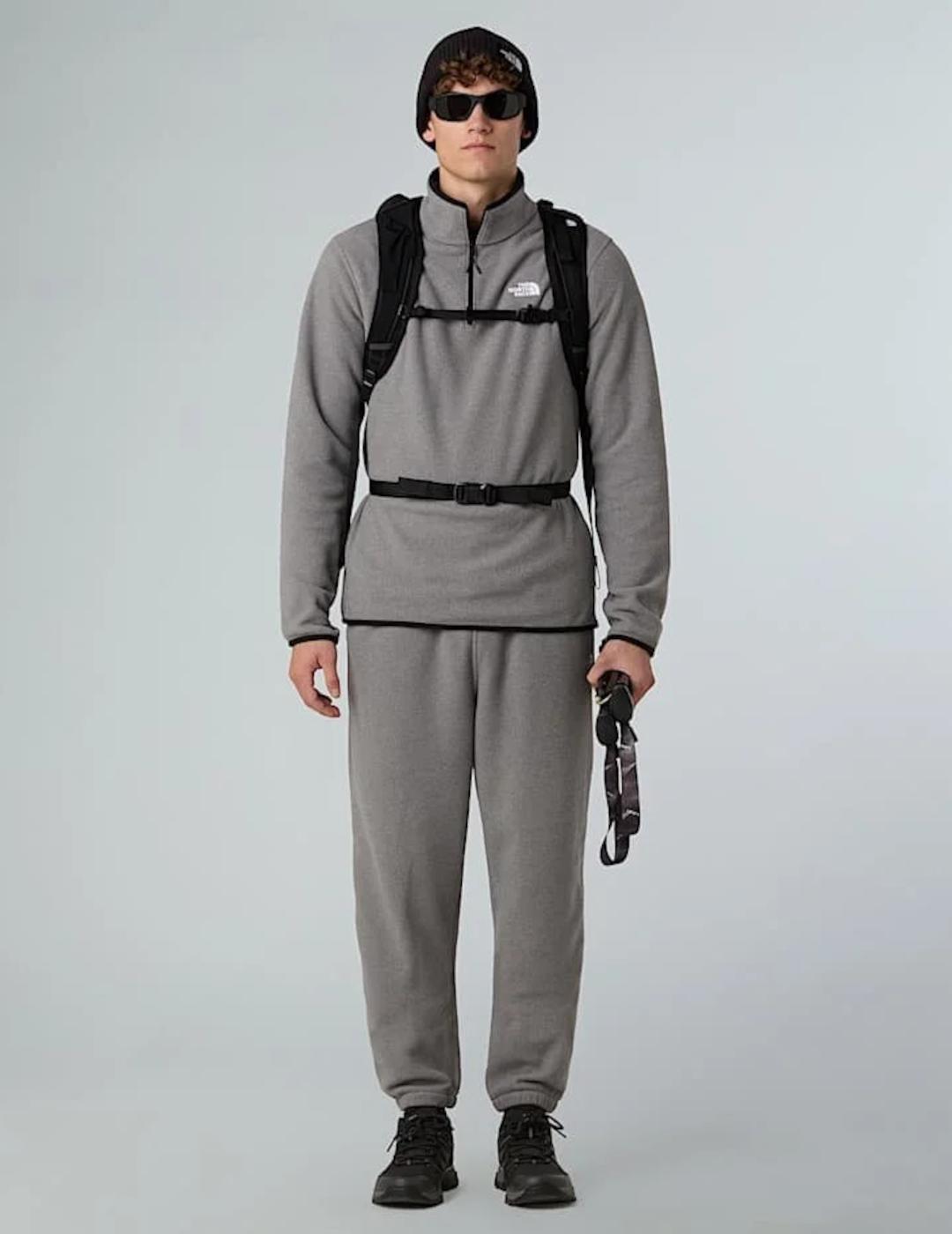 NORTH FACE POLAR GRIS ZIP 1/4