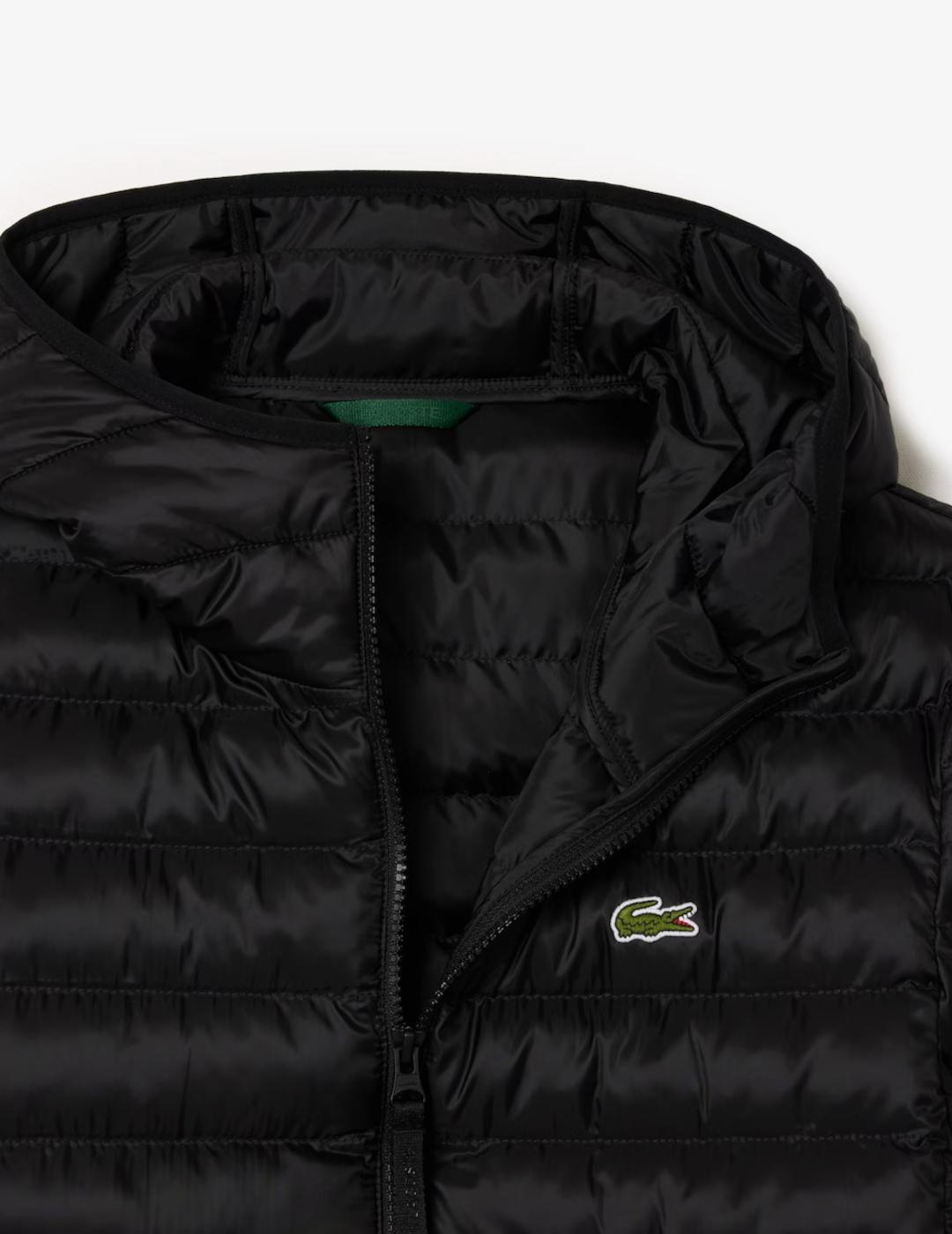 LACOSTE PLUMAS NEGRO