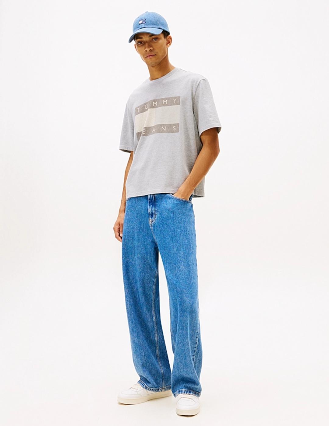 TOMMY CAMISETA GRIS DISTRESSED